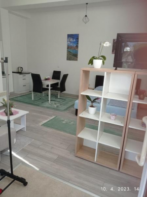 Studio apartman Sokak